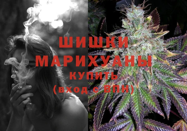Альфа ПВП Белокуриха