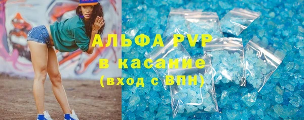 сатива Белоозёрский