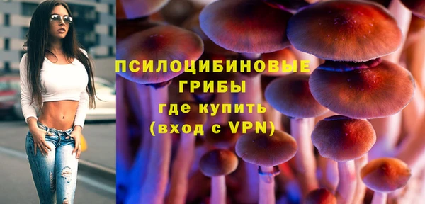 Альфа ПВП Белокуриха