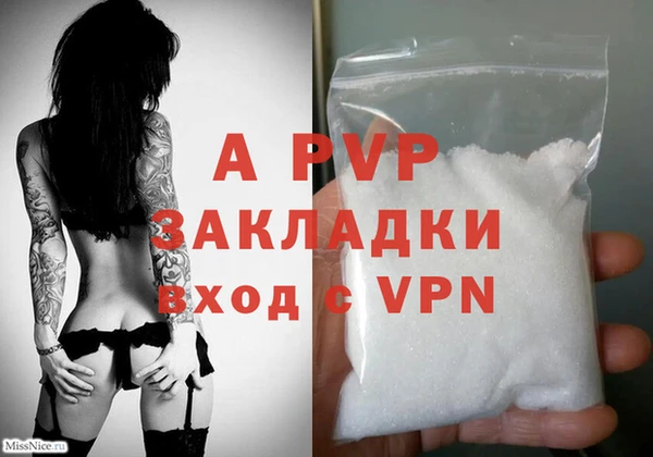 сатива Белоозёрский