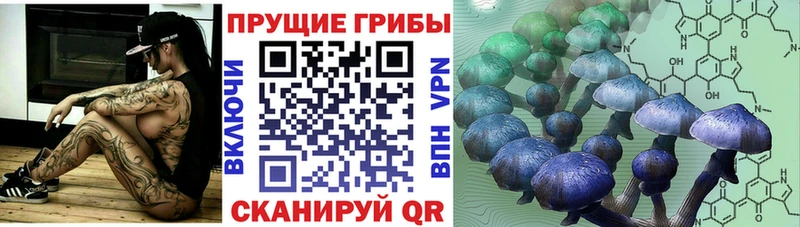blacksprut вход  купить наркотик  Кропоткин  Псилоцибиновые грибы мицелий 